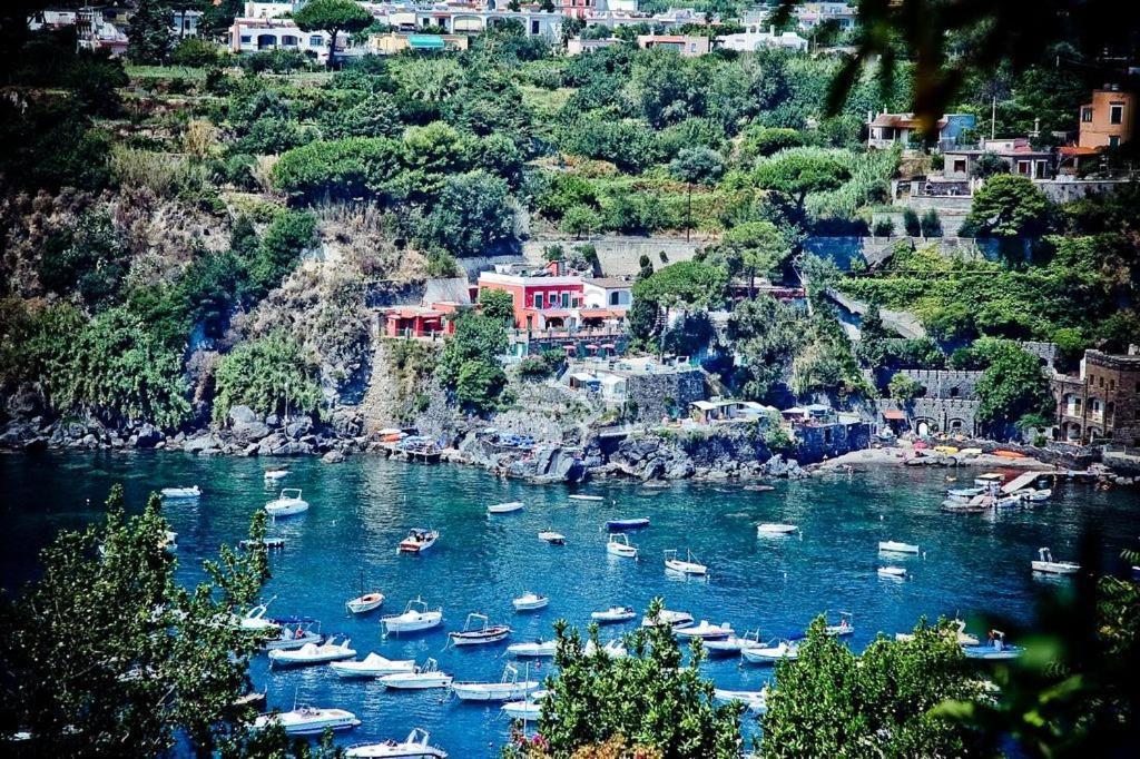 Hotel Villa Antonio Ischia Esterno foto